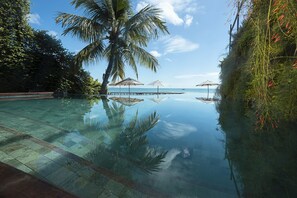 Une magnifique piscine à débordement, avec une vue imprenable sur l’océan et une jetée, le tout entouré de palmiers et de verdure.