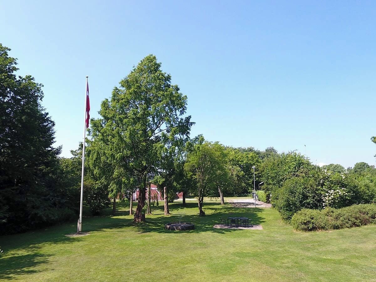 A grassy area with a flagpole, trees, and a bench.