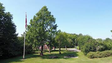 A grassy area with a flagpole, trees, and a bench.