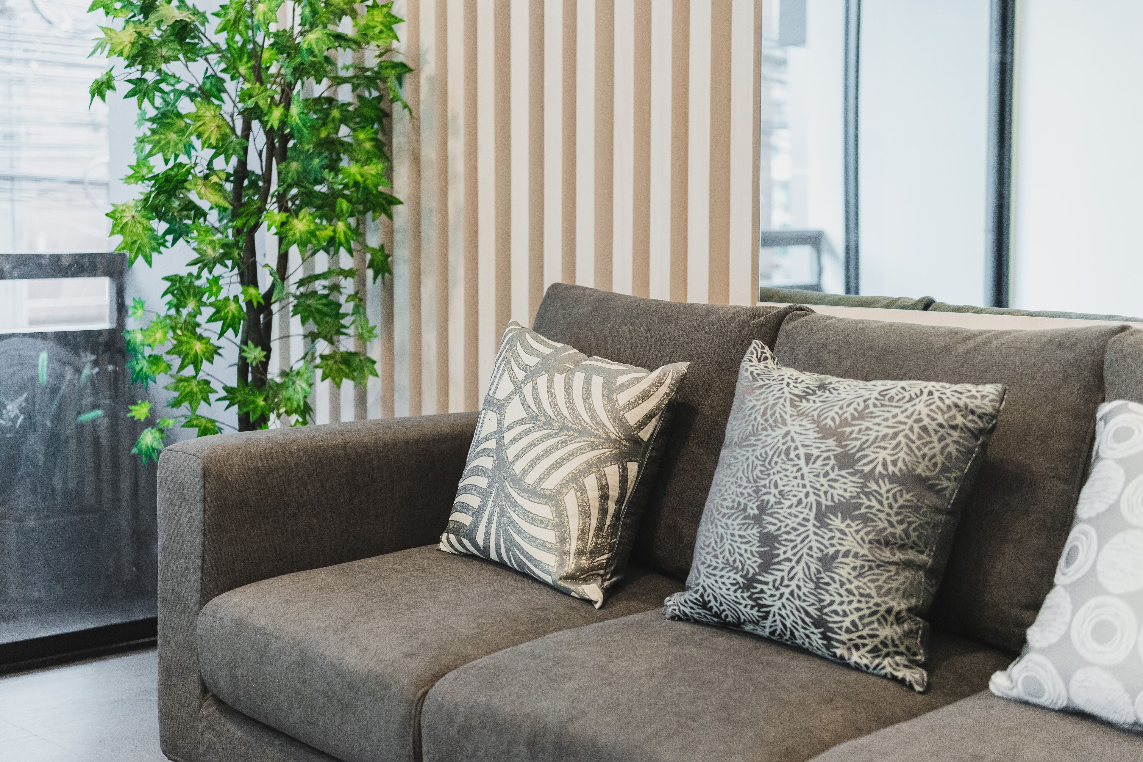 A grey sofa with patterned cushions, a green plant, and a striped wall in a room with large windows.