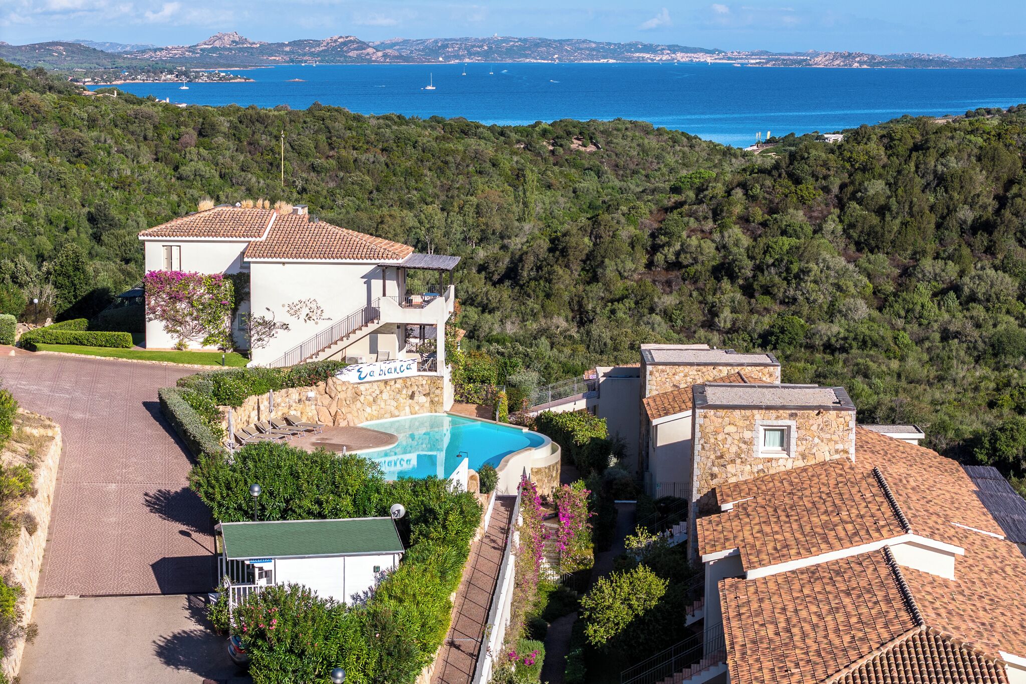 A villa with a swimming pool, surrounded by lush greenery and a view of the sea.