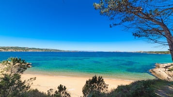 Beach nearby, beach umbrellas