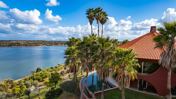 A modern house with a swimming pool, surrounded by palm trees and a lake. - Montargil Monte Novo (Ponte de Sor)