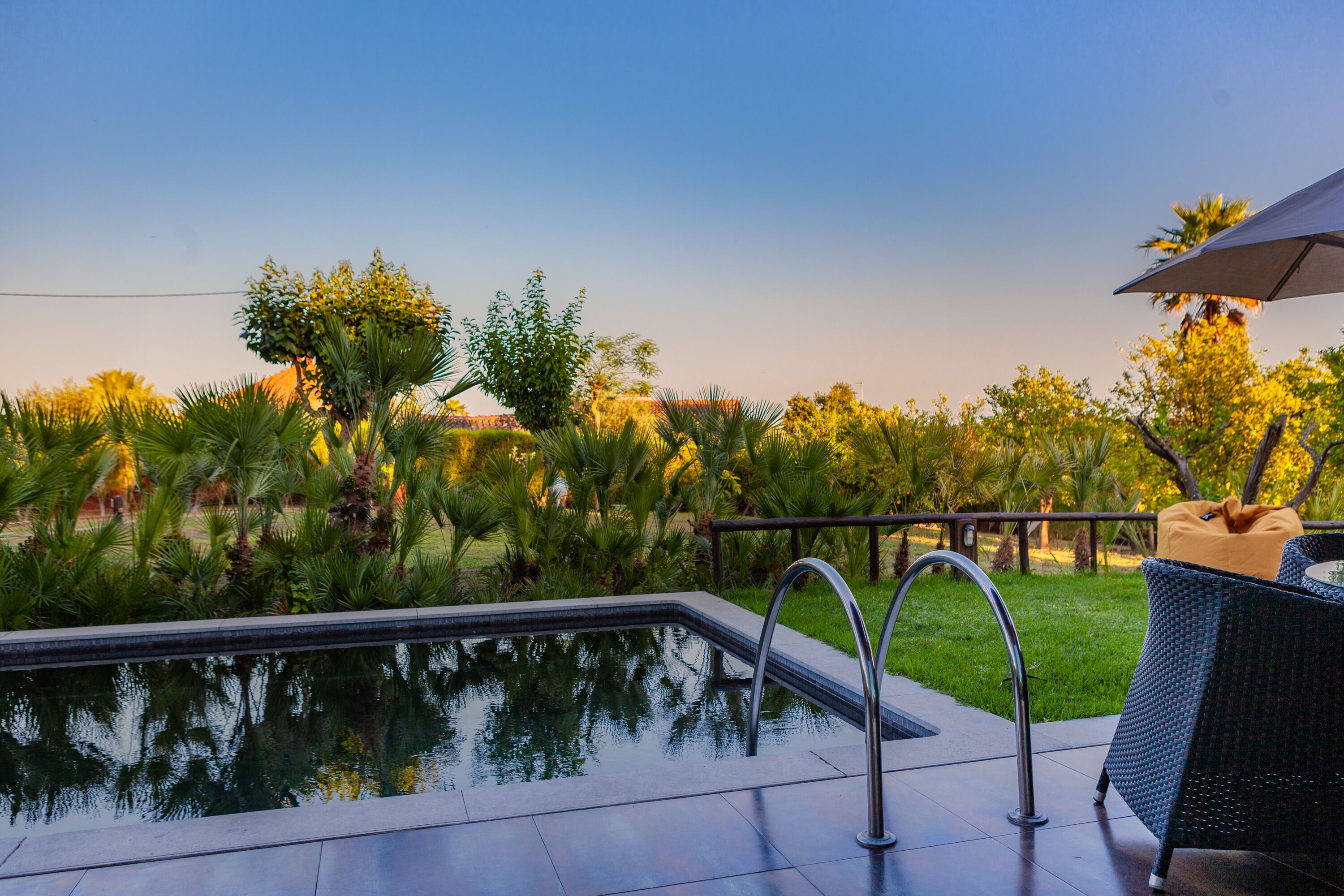 A swimming pool with a metal ladder, surrounded by greenery and a wicker chair with a cushion.