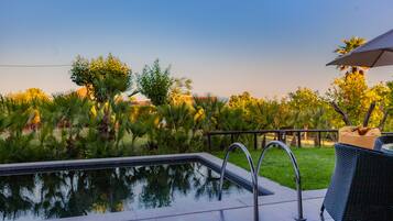 A swimming pool with a metal ladder, surrounded by greenery and a wicker chair with a cushion.