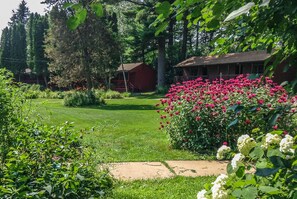 المنطقة المحيطة بالمنشأة