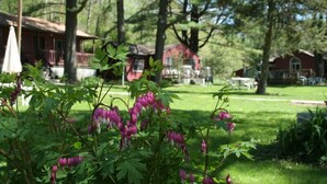 Un jardín exuberante con flores moradas colgantes en primer plano, una casa roja con porche al fondo y un césped bien cuidado.