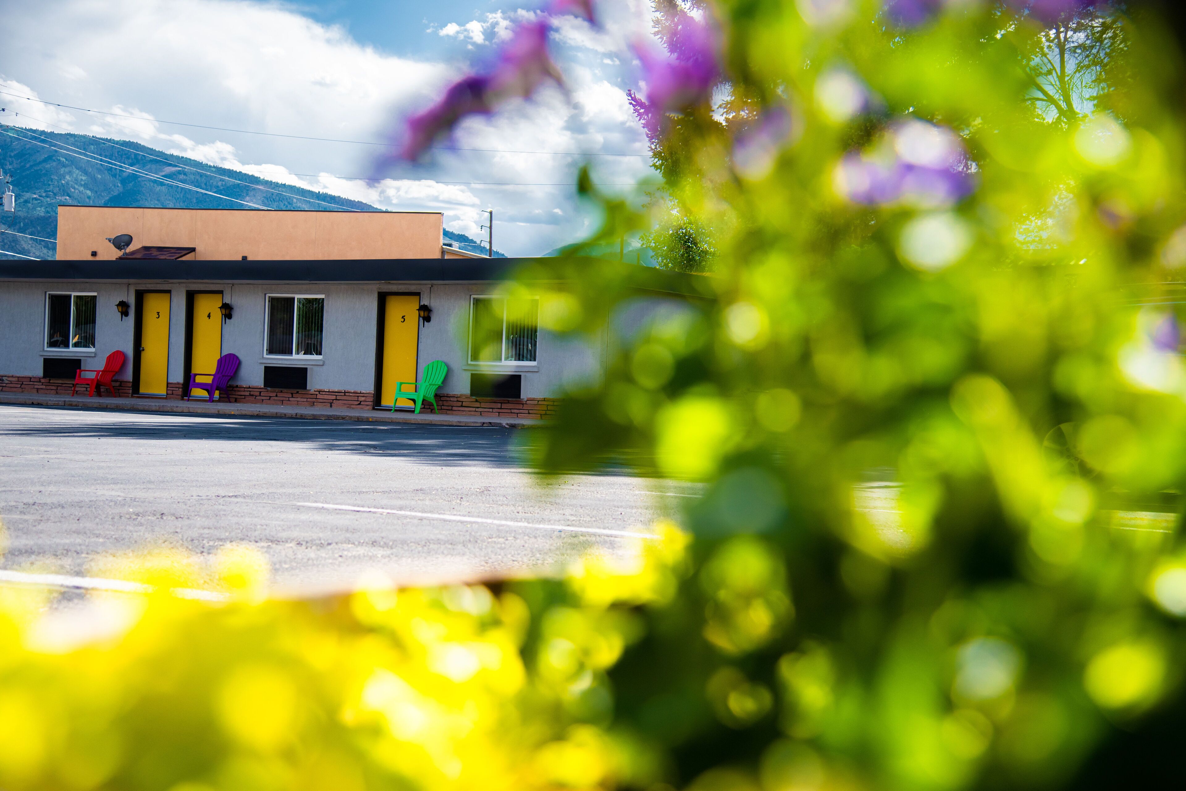 Standard Room, 1 king | Mountain view