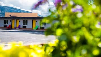 Habitació estàndard | Vista de la muntanya