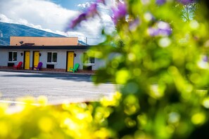 Standard Room, 1 king | Vista para a montanha