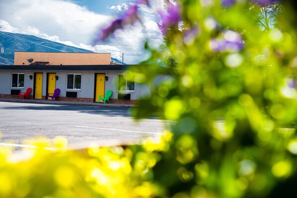 Standard Room, 1 king | Mountain view