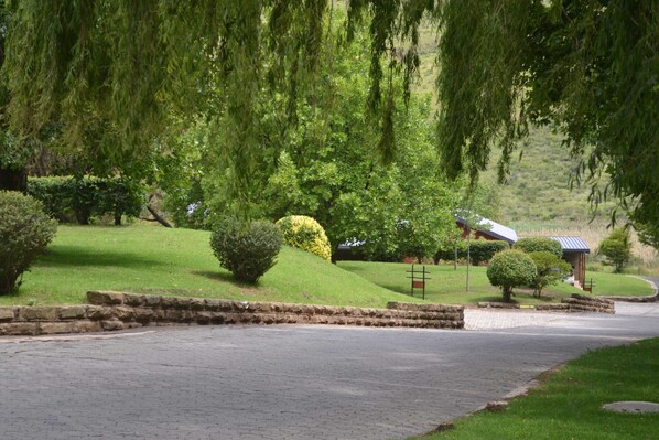 A paved driveway leading to a building with a red roof, surrounded by well-maintained hedges and trees.