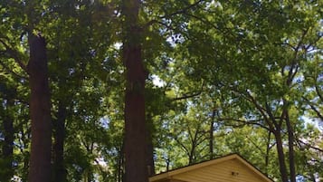 Basic Cabin | 3 bedrooms, iron/ironing board