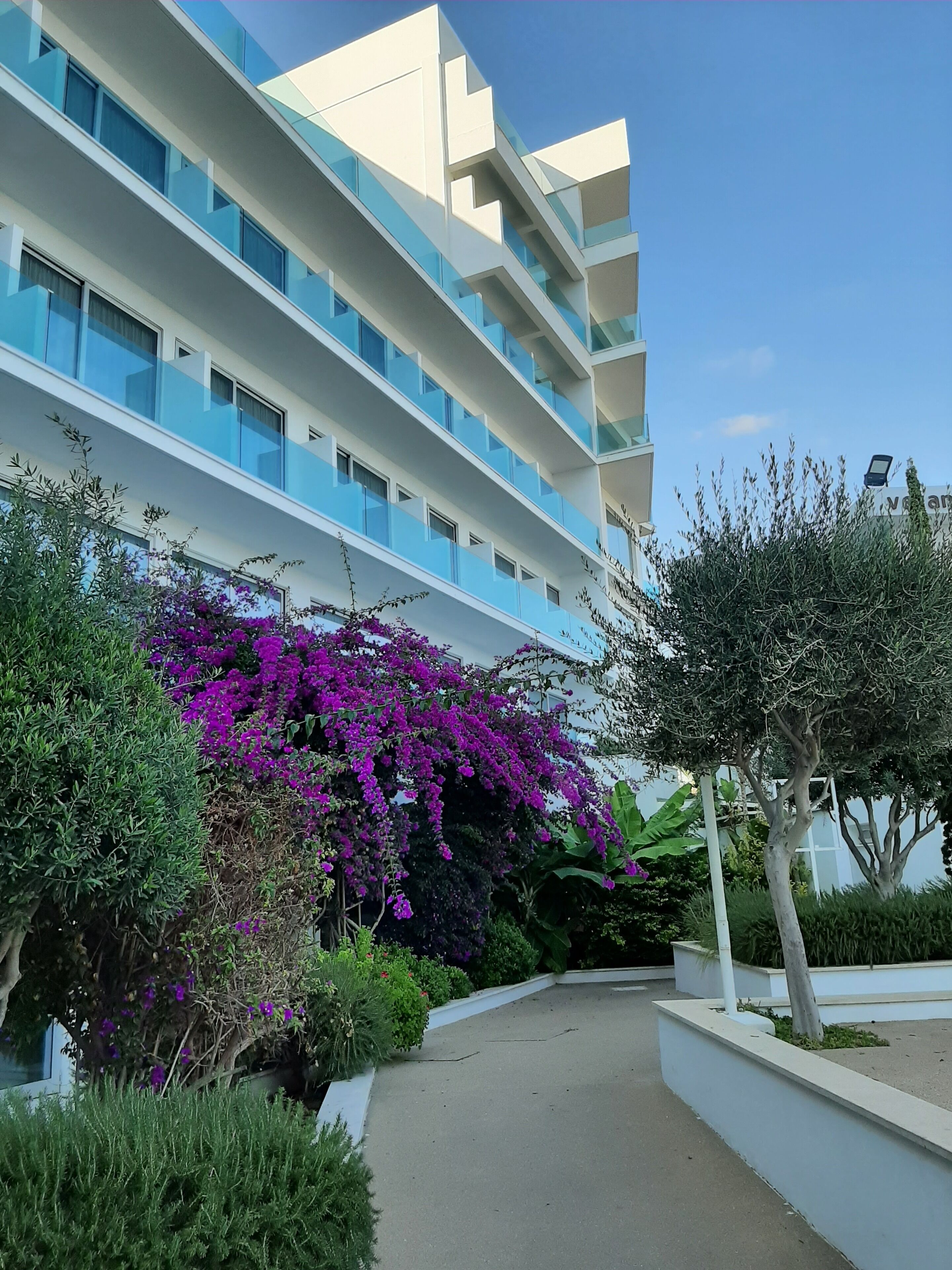 Un hotel moderno con varios balcones, un jardín ajardinado con buganvillas púrpuras y un cielo despejado.