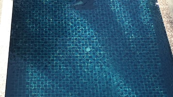 Alberca al aire libre por temporada