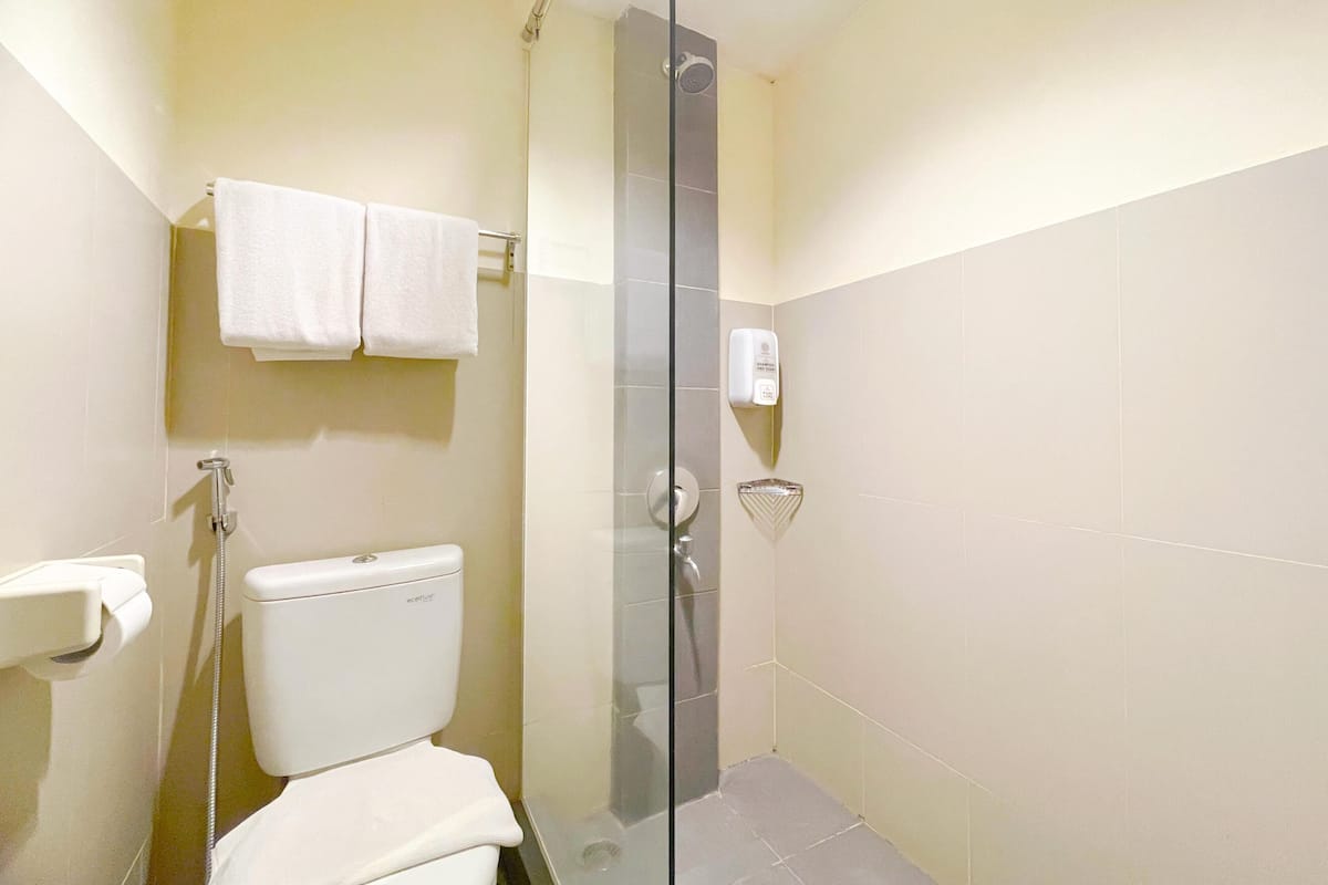 Shower, free toiletries, hair dryer, bathrobes