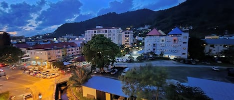 Vista desde la propiedad