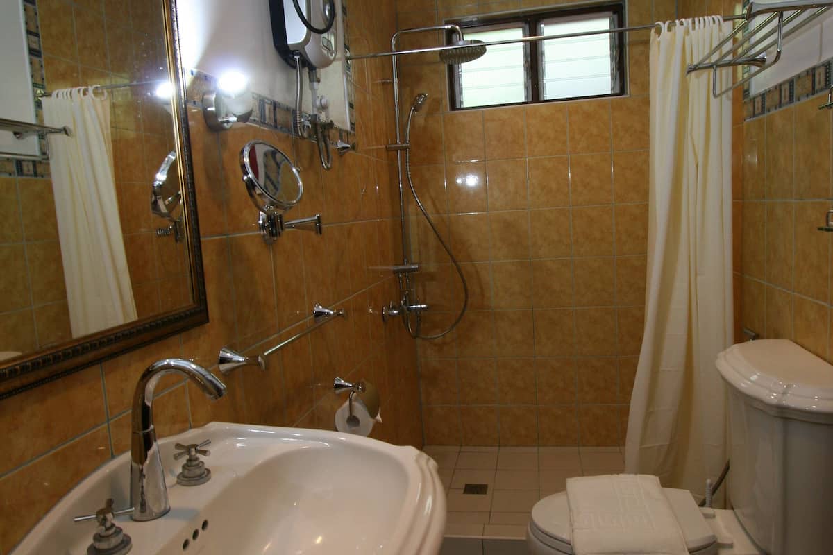 shower, free toiletries, hair dryer, towels