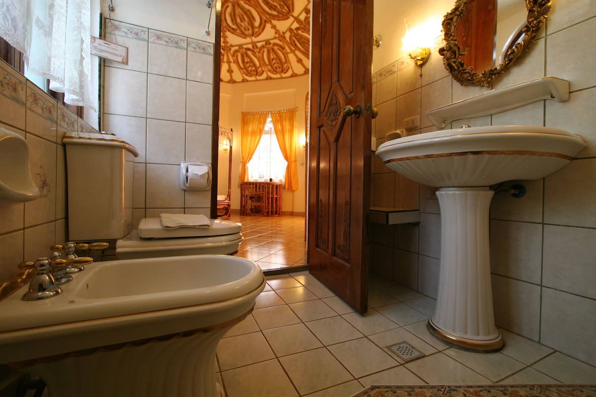 standard room | bathroom | shower, free toiletries, hair dryer, towels