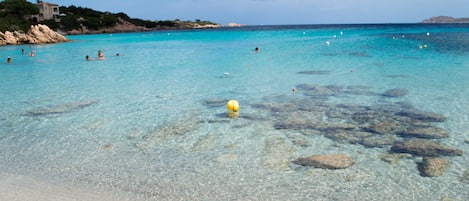 Nära stranden och parasoller