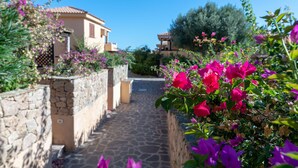 A stone pathway leading to a building with a tiled roof, surrounded by lush greenery and vibrant bougainvillea flowers.
