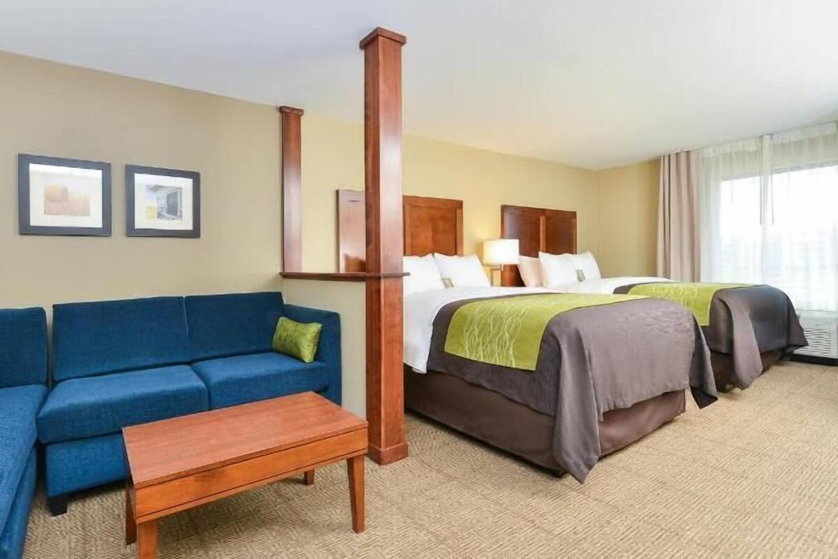 A hotel room with a blue sofa, a wooden bench, a bed with a green blanket, and two framed pictures on the wall.