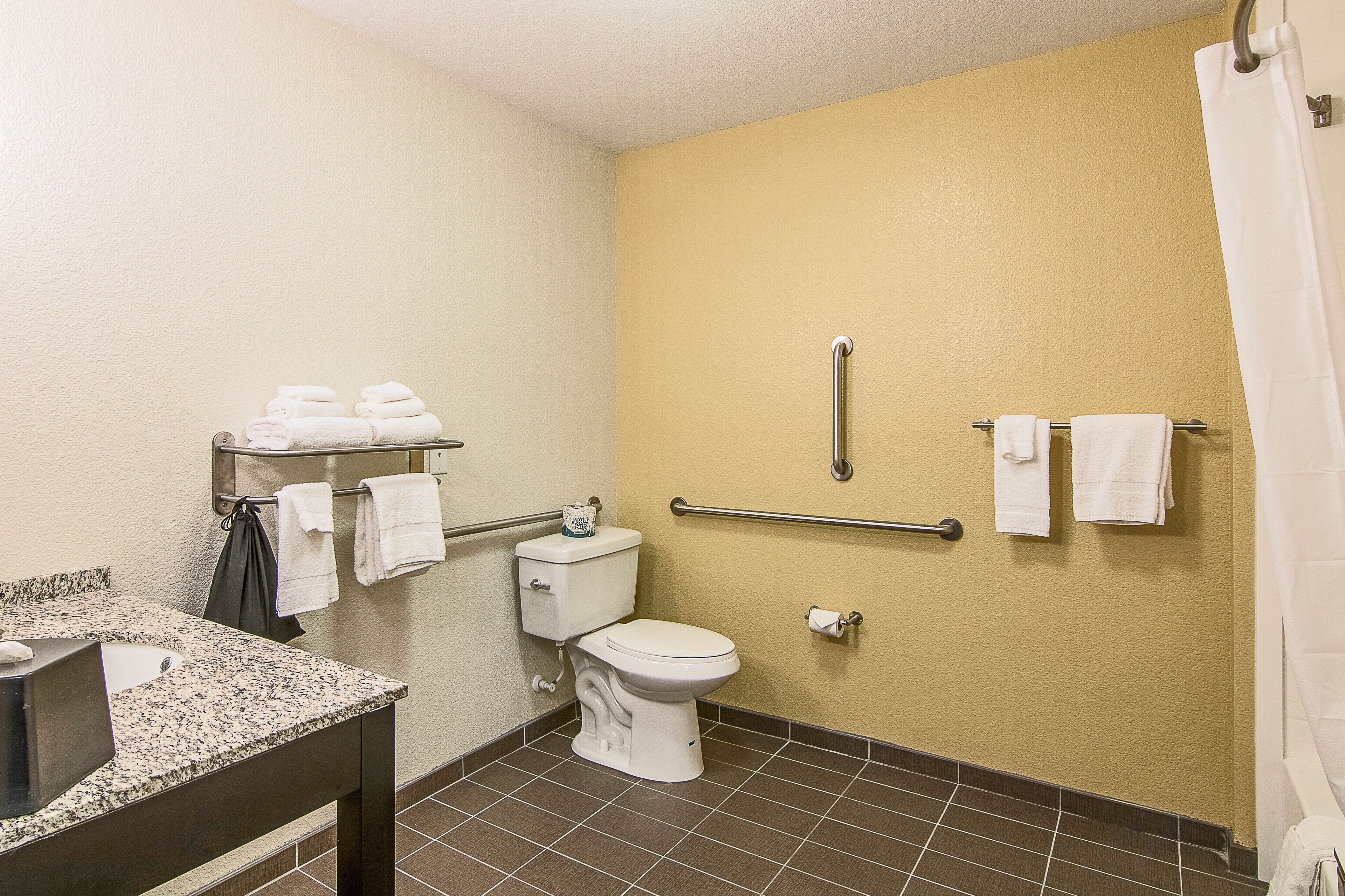 A bathroom with a toilet, sink, and handrails.