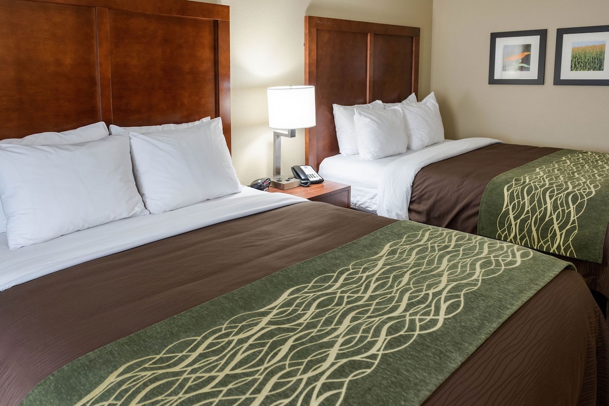 A hotel room with two beds, a nightstand with a lamp, and a phone.