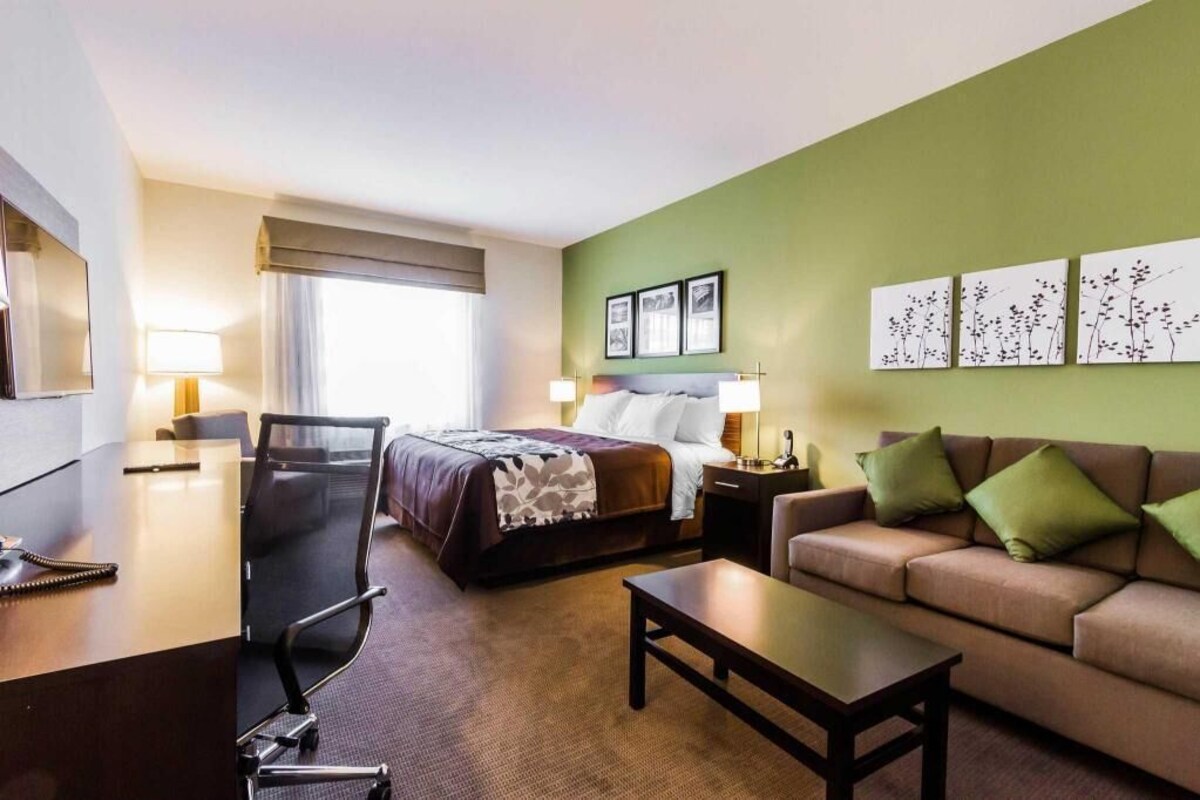 Habitación de hotel con cama, escritorio, silla, sofá y obras de arte en las paredes.