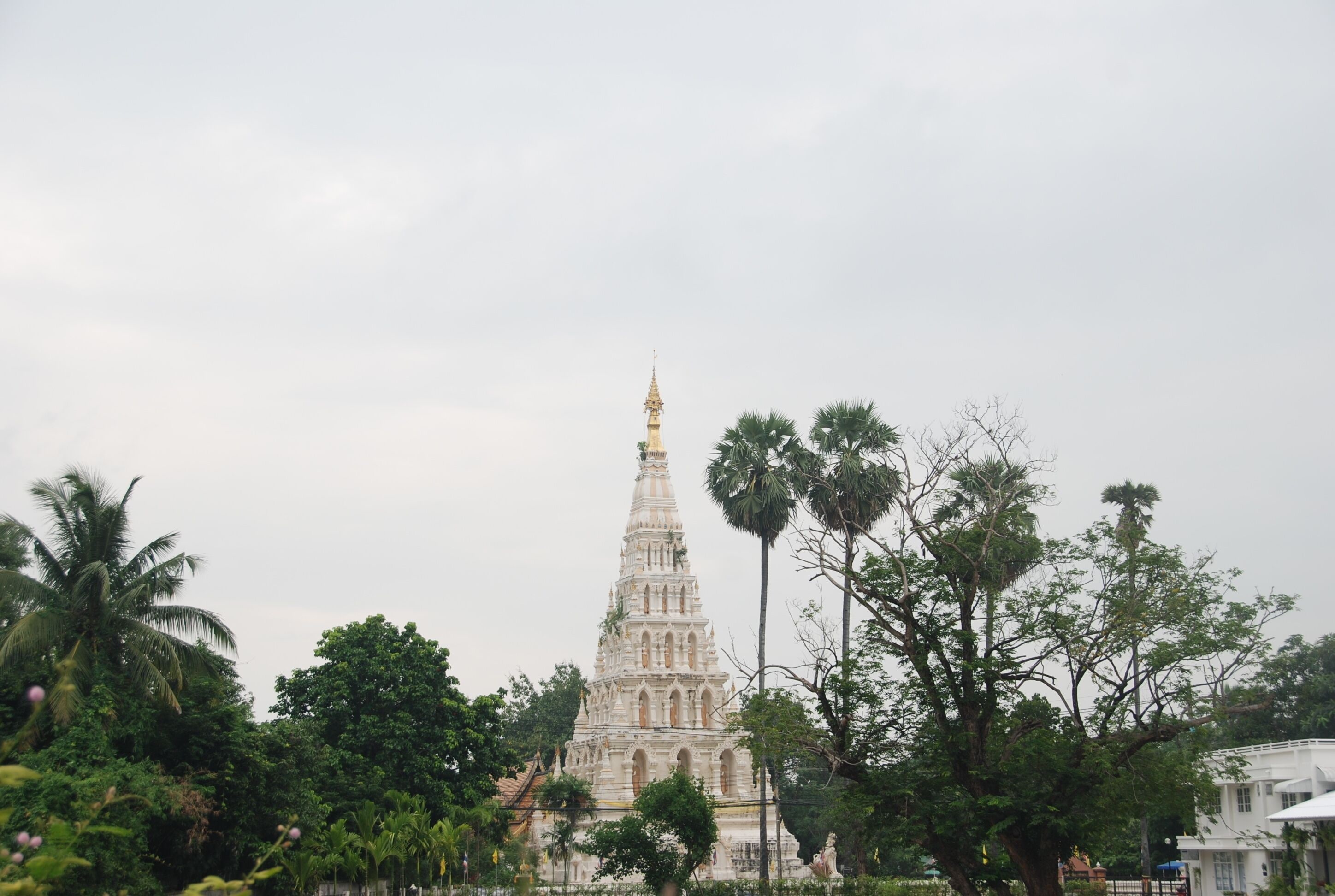 pagoda suite | view from property
