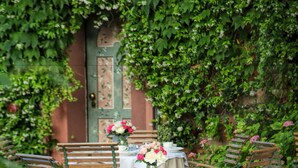 An outdoor garden setting with a table and chairs, surrounded by greenery and flowers. - Villa Ines (Venice)