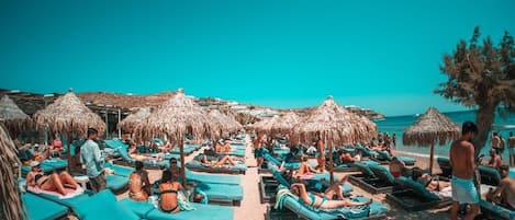 Plage, chaises longues, parasols, 2 bars de plage