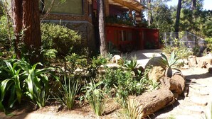 A rustic building with a stone facade, surrounded by lush greenery and tall trees. - La Casa del Rio (Valle de Bravo)