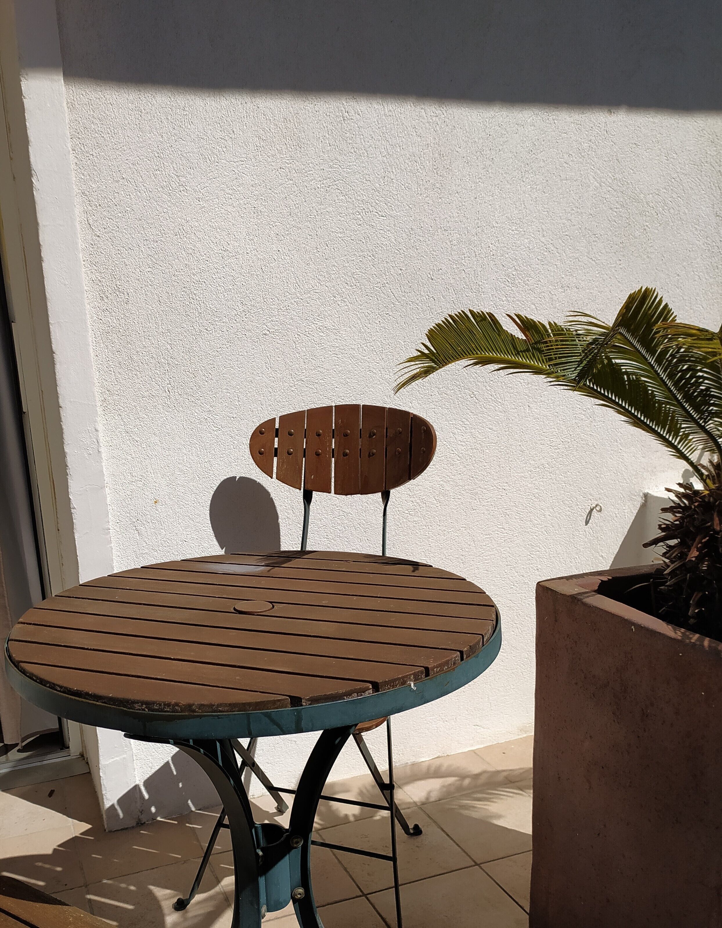Una mesa redonda de madera con estructura metálica, una silla a juego y una planta en maceta.