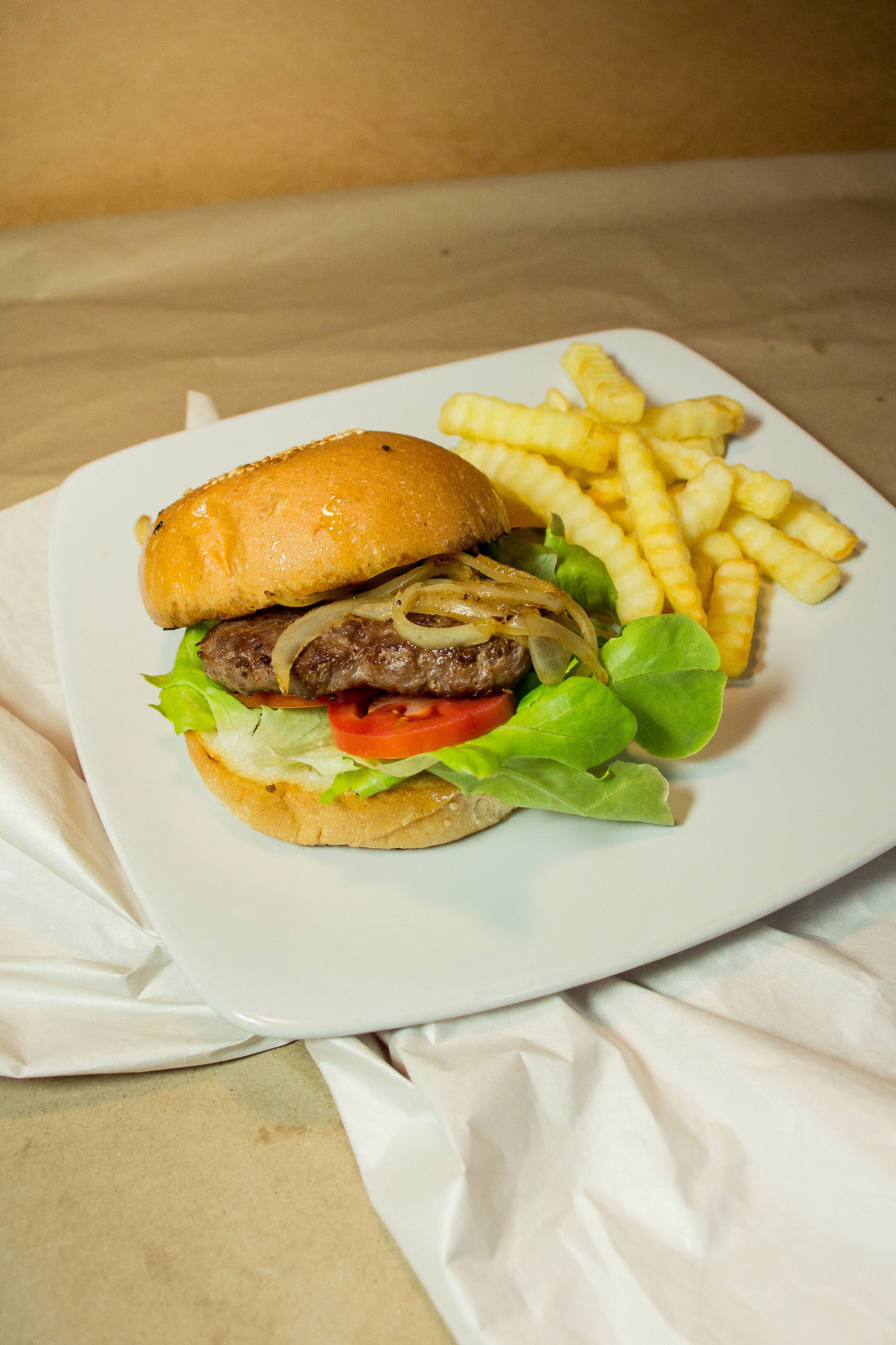 Une assiette avec un hamburger et des frites.