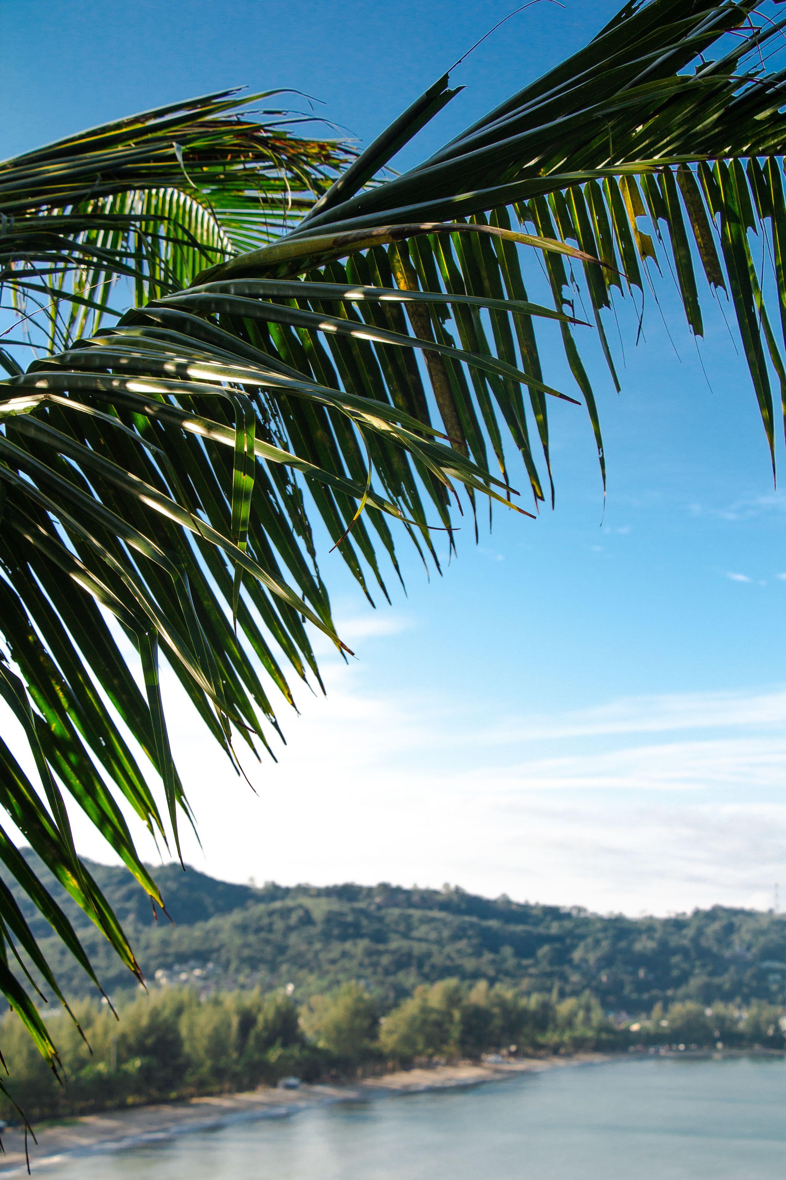 Photo - Kamala Beach Residence