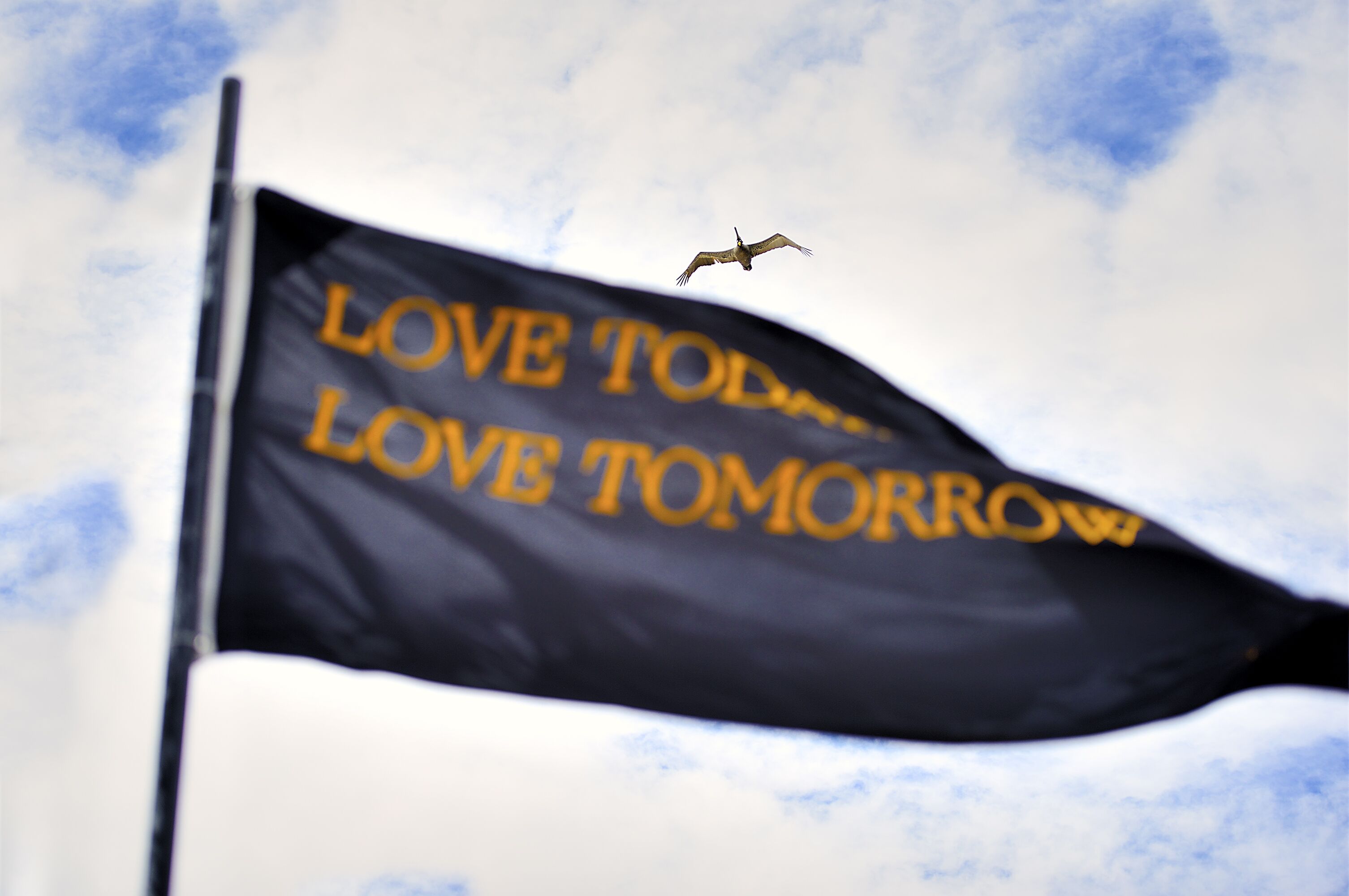 Photo - Tago Tulum by G Hotels