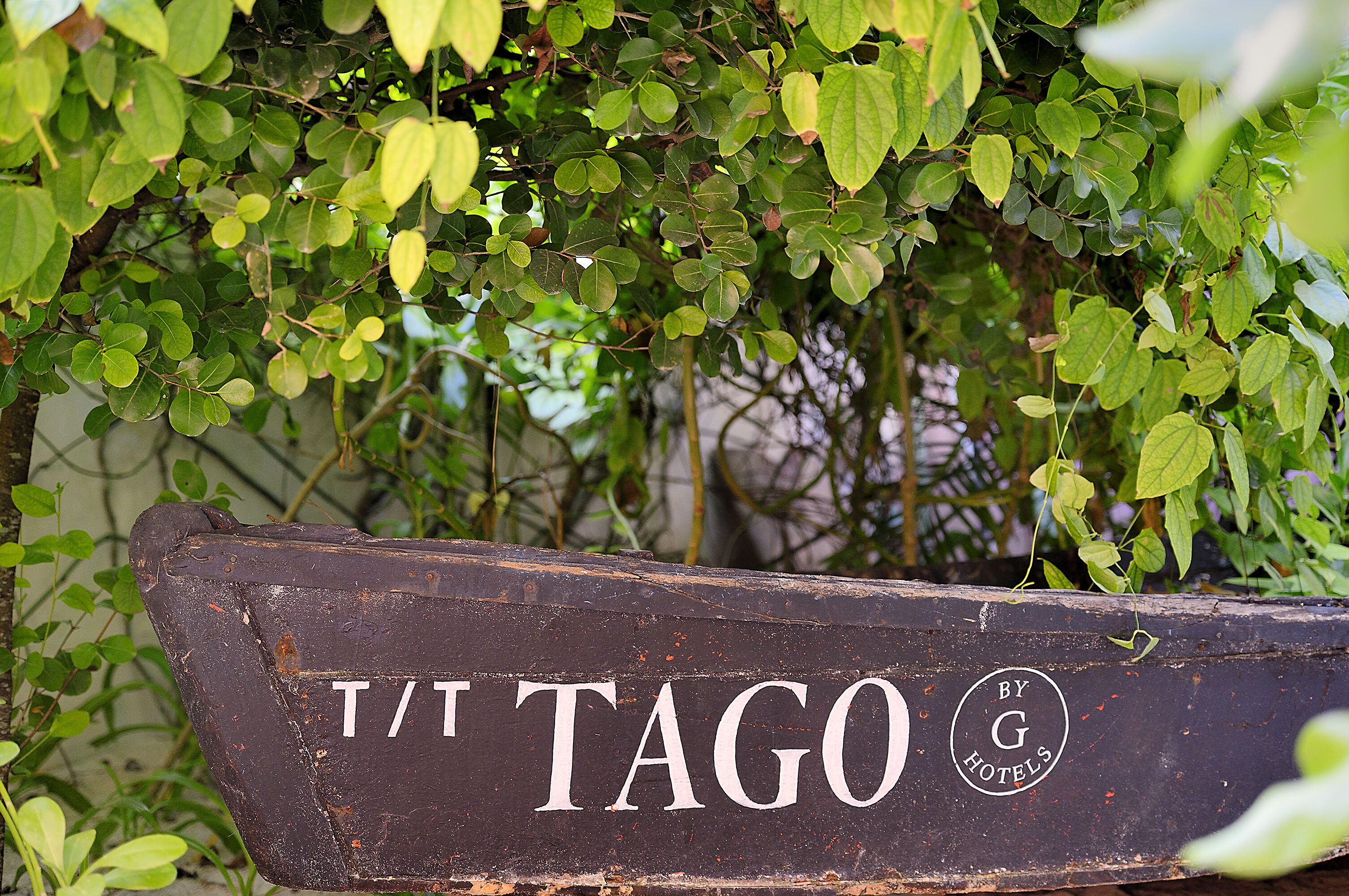 Photo - Tago Tulum by G Hotels