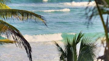 Beach/ocean view