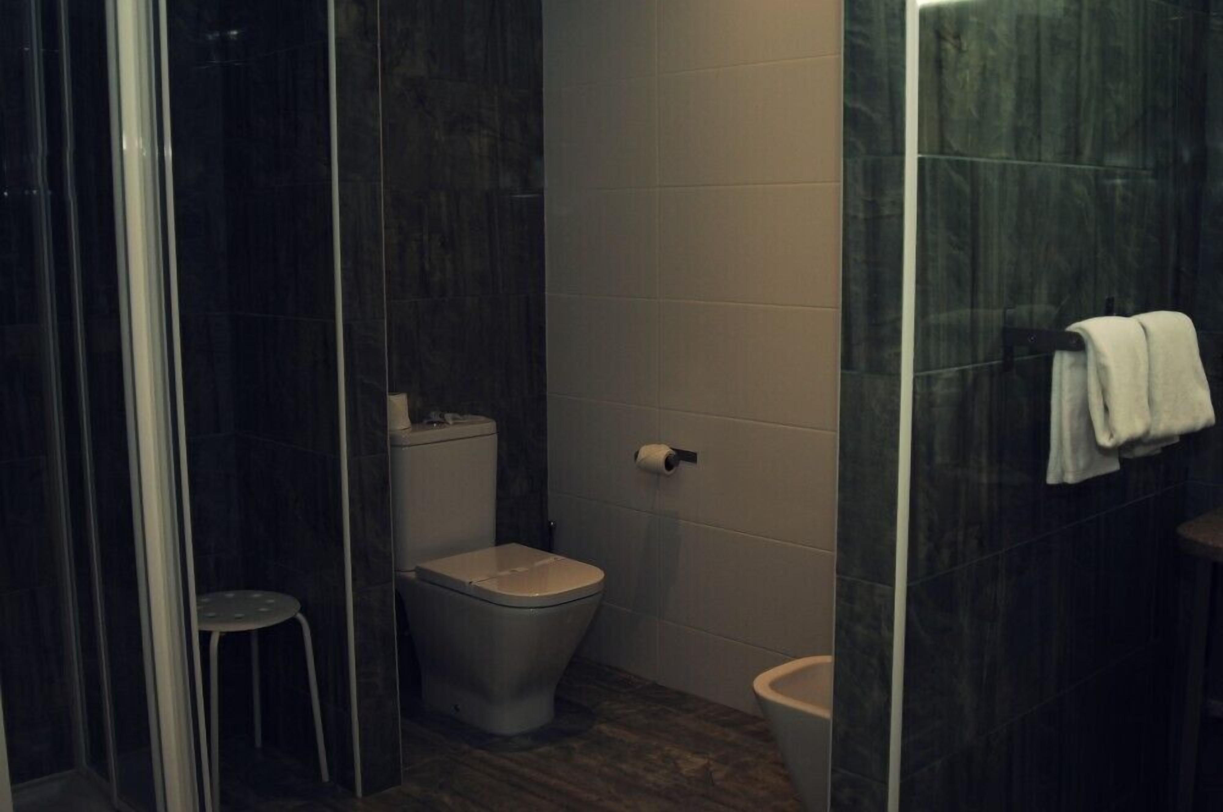A bathroom with a toilet, a bidet, and a shower area.