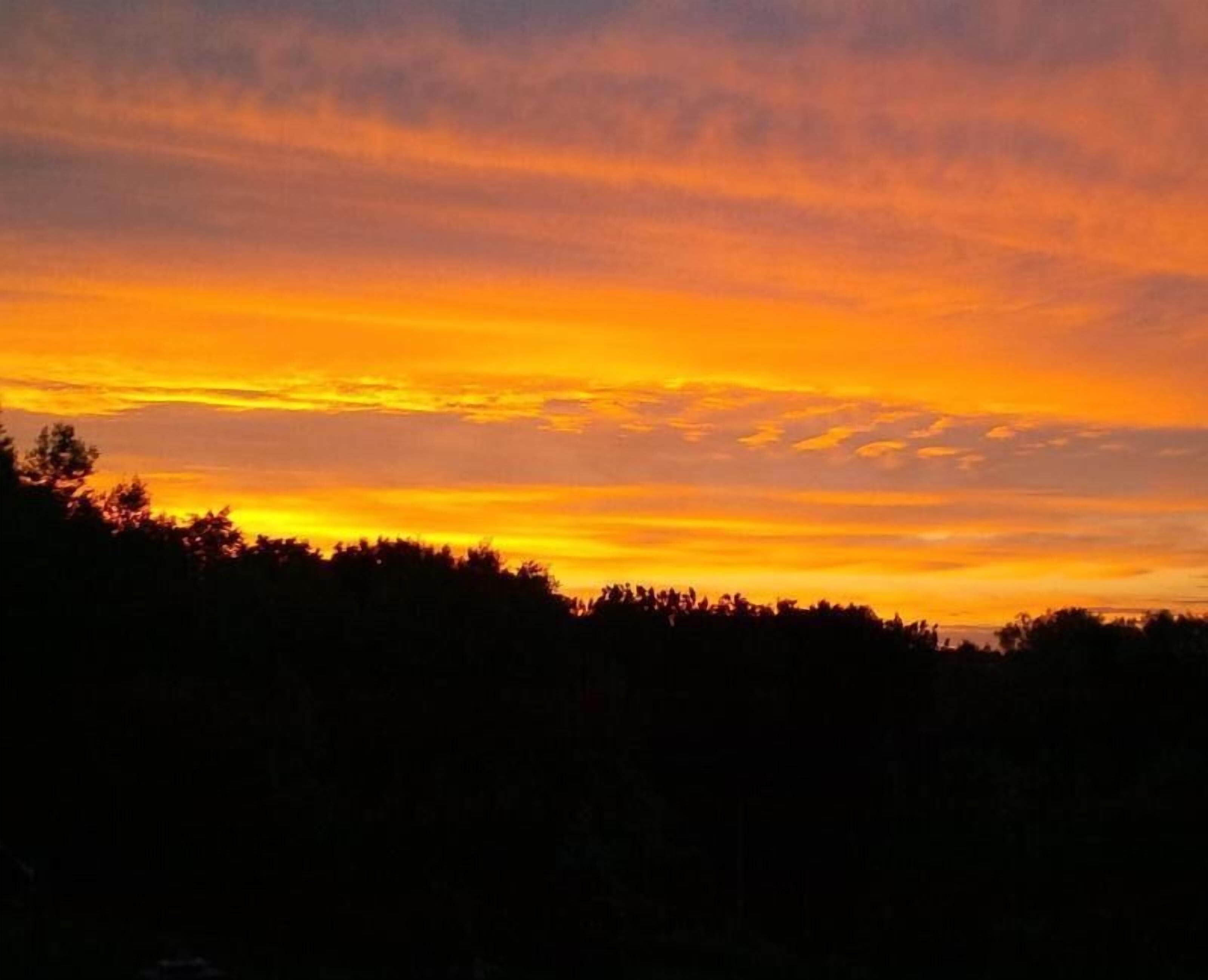 A sunset with a clear sky and silhouettes of trees.