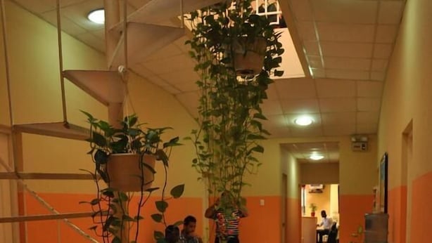 A hallway with a staircase, a dining area with tables and chairs, and hanging plants. - Hotel Monumental (Santo Domingo)