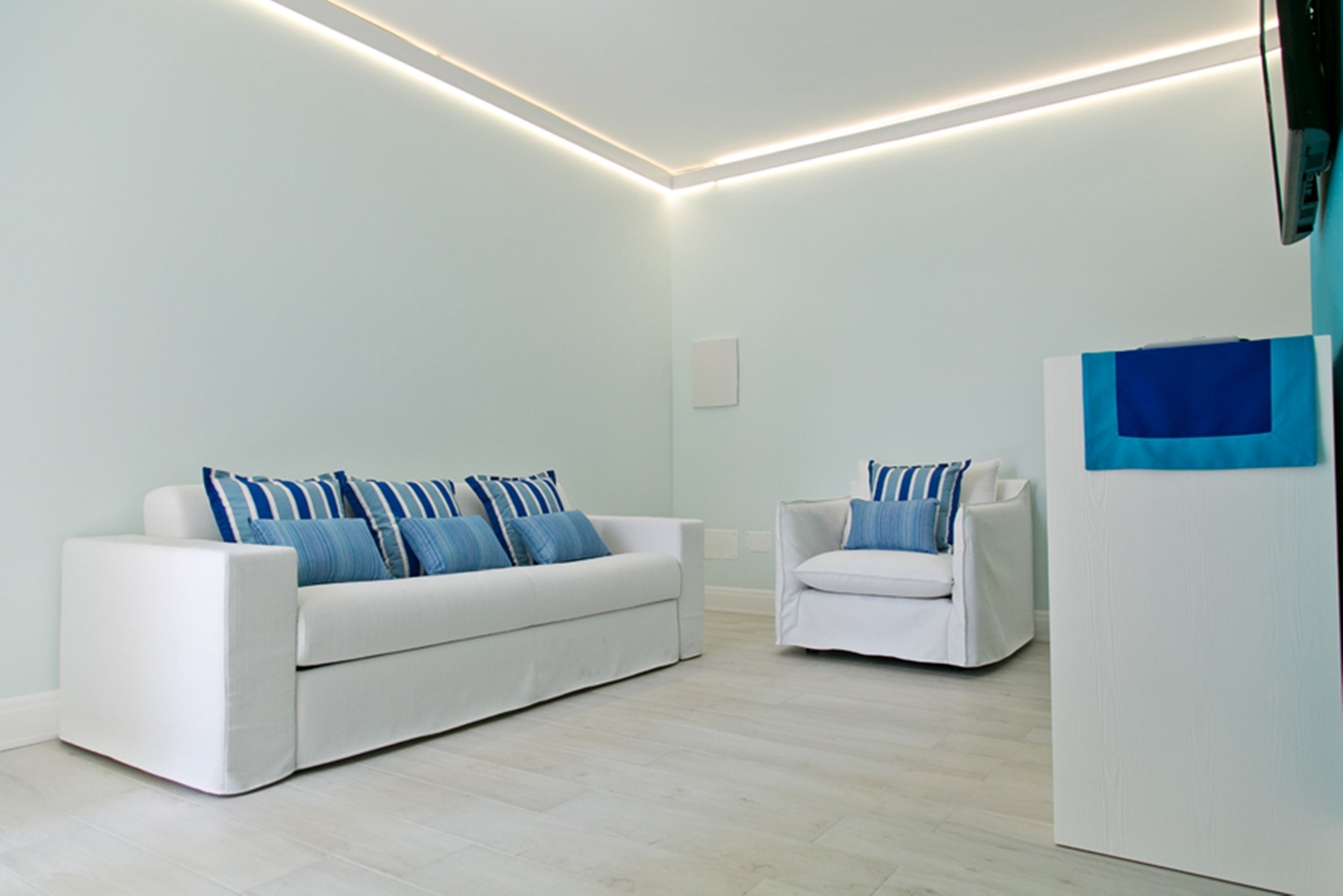 superior room (private spa in room) | living room | flat-screen tv