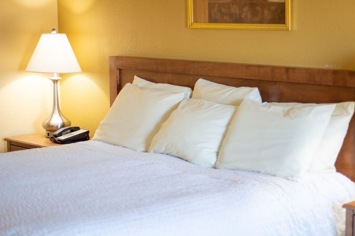 A hotel room with a bed, white bedding, a lamp, and a phone on the nightstand.