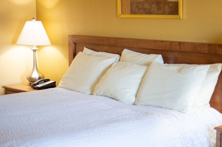 Norma Dan Motel Near Dolly Parton's Stampede Dinner Attraction - Image 1