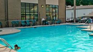 Indoor pool, outdoor pool, pool loungers