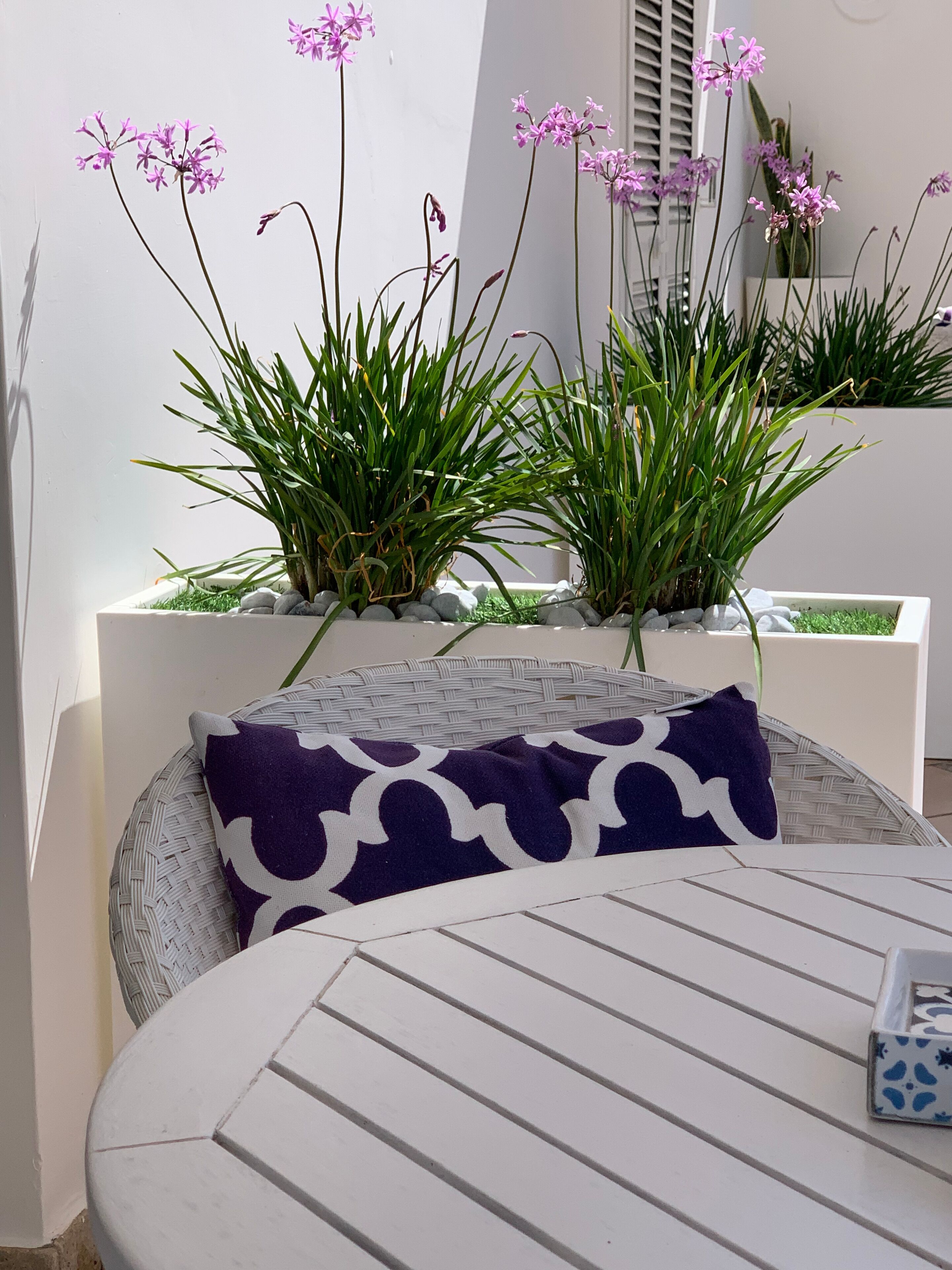 Un espacio exterior con mobiliario blanco, incluyendo una silla tejida y una mesa, rodeado de plantas en macetas y una pared blanca.