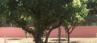 Ribeirotel