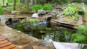 A pond with a waterfall, surrounded by rocks and plants, with a wooden deck and a shed in the background. - Forest Hill Bed & Breakfast (Kitchener)