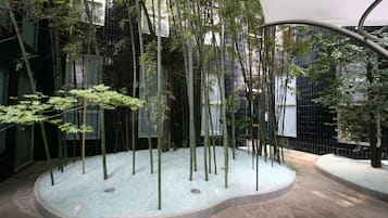 Jardín